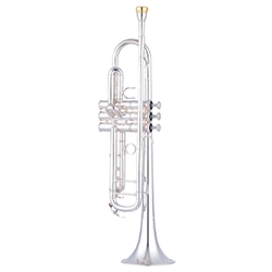 Yamaha YTR-8335IIRS Professional Trumpet