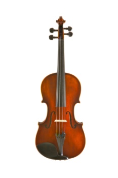 EASTMAN VL305ST Professional Level Violin Outfit, 4/4 Size With Case & Bow