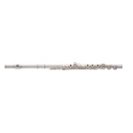 YAMAHA YFL461H C Flute, Low B Foot