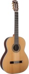 Fender CN-320AS
