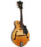 EPIPHONE Used MM-50E Mandolin w/Hardshell Case