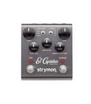 Strymon El Capistan tape echo pedal.