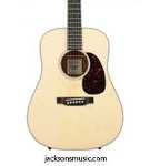 Dread Jr Guitar