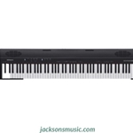 ROLAND GO-88P Go Piano 88 Key