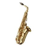Yanigasawa AW01 Professional Alto Saxophone