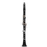 USED Bb Clarinet 17/6 Prodige NP w/Case, Near New Condition