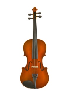 EASTMAN VL80ST44 Student violin Outfit, 4/4 Sz With ABS Case