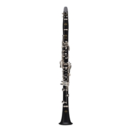 USED Bb Clarinet 17/6 Prodige NP w/Case, Near New Condition